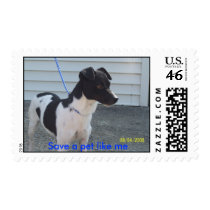 Save a pet like me postage