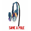 Save a pole, Ride a vaulter t-shirts