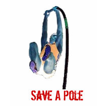 Save a pole, Ride a vaulter T-shirts