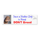 Save a Shelter Dog in Need -- Paxton bumper stickers