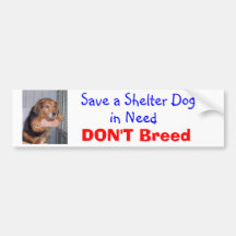 Save a Shelter Dog in Need -- Paxton Bumper Sticker