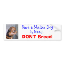 Save a Shelter Dog in Need -- Paxton bumper stickers by tracyhaben Save a Shelter Dog in Need -- Paxton bumper stickers