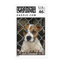 save a shelter dog stamp