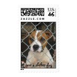 save a shelter dog stamp