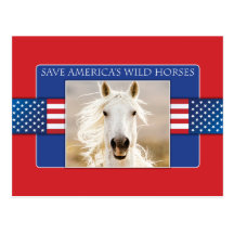 Save America's Wild Horses Postcards