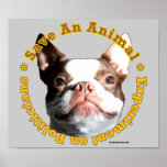Save An Animal-Dog Poster posters