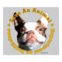 Save An Animal-Dog Poster posters