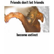 Save Animal Friends shirt