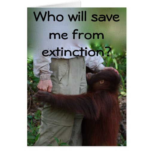 Save Animals from Extinction card