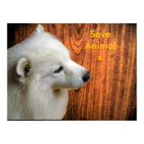 save animals Poster posters by swarnalatha save animals Poster posters