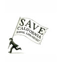 Save CA School Libraries Merchandise T-shirt