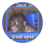 Save Endangered Great Apes Stickers