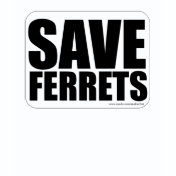 Save Ferrets