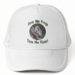 Save Gray Treefrogs