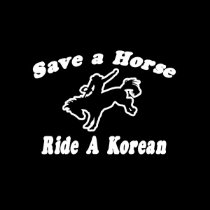 Save Horse, Ride Korean
