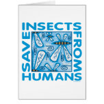 Save Insects