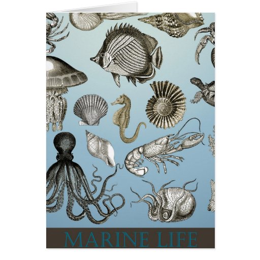 save-marine-life-card-zazzle