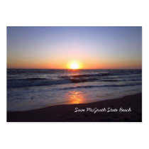 Save McGrath State Beach Business Card
