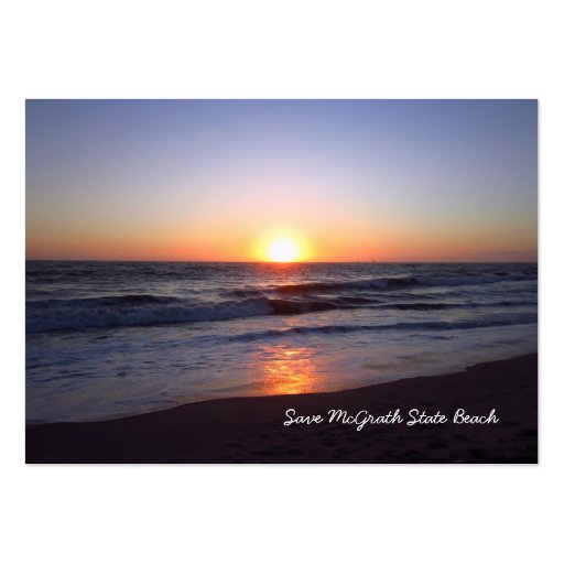Save McGrath State Beach Business Card (front side)