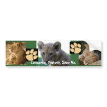 Save Me - Lion Cub Bumper Sticker