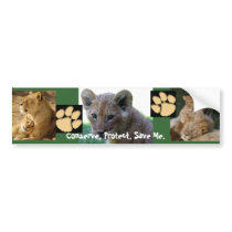 Save Me - Lion Cub bumper stickers