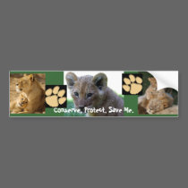 Save Me - Lion Cub bumper stickers