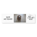 SAVE ME PLEASE - ADOPT A RESCUE DOG! bumper stickers by patsarts SAVE ME PLEASE - ADOPT A RESCUE DOG! bumper stickers