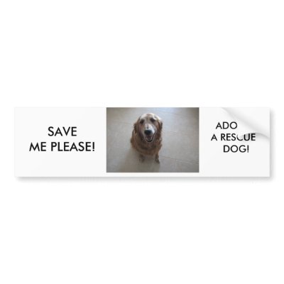 SAVE ME PLEASE - ADOPT A RESCUE DOG! BUMPER STICKER by patsarts