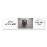 SAVE ME PLEASE - ADOPT A RESCUE DOG! bumper stickers