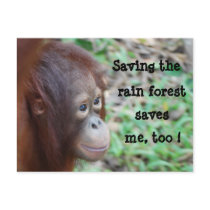 "Save me" wildlife postcard