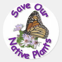 Save Native Asters Monarch Sticker
