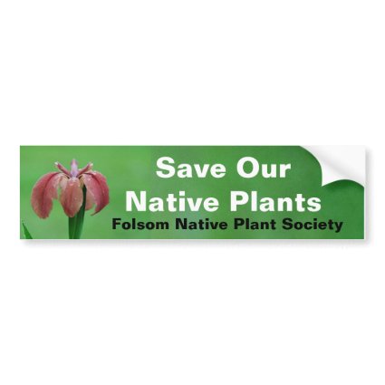 Save Native Plants Bumper Sticker bumpersticker