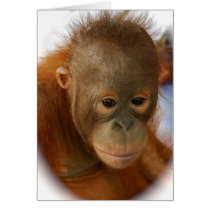 Save Orangutans from  Extinction Greeting Card