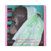 Save Orangutans! magnets by Rebecca_Reeder Save Orangutans! magnets