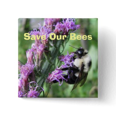 Save Our Bees Button by naturegirl7