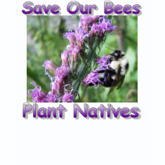Save Our Bees Wildflower T-Shirt shirt