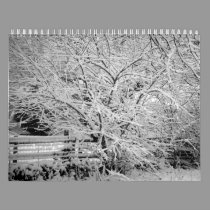 Save Our Planet 2011 Calendar calendars