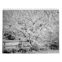 Save Our Planet 2011 Calendar