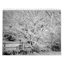 Save Our Planet 2011 Calendar