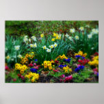 Save Our Planet products raise consciousness Posters