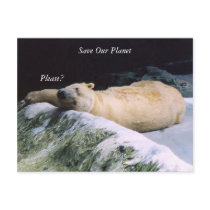 Save Our Planet series Polar Bear post card postcards by nwillens Save Our Planet series Polar Bear post card postcards