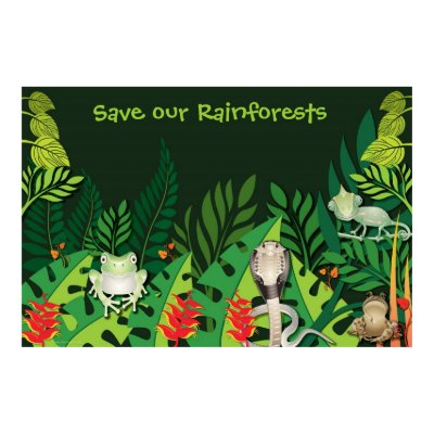Save our Rainforests Poster by naturespaintbox