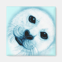 'Save our Seals' Baby Harp Seal Magnet