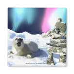 Save Our Seals! Harp Seal Magnets