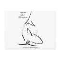 Save Our Sharks postcards