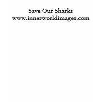 Save Our Sharks t-shirts