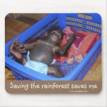 Save rainforest & orangutans Save rainforest & orangutans