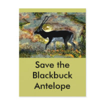save the Antelope Blackbuck - Junglewalk.com postcards