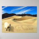 Save the Bears posters