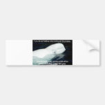 SAVE THE BELUGA WHALES BUMPER STICKERS